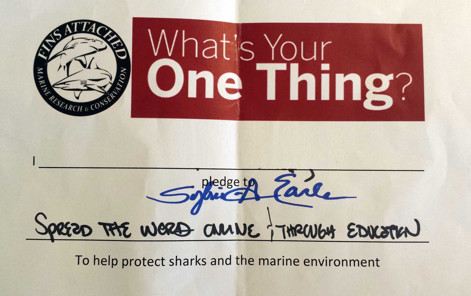 One Thing with Sylvia Earle