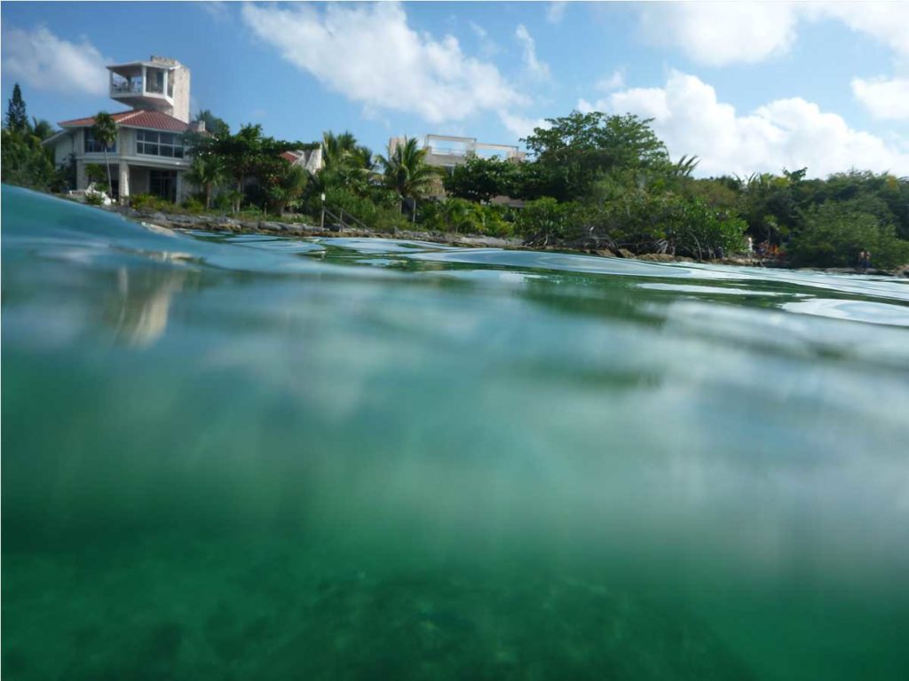 What to Pack Cozumel DiveDoggie, LLC