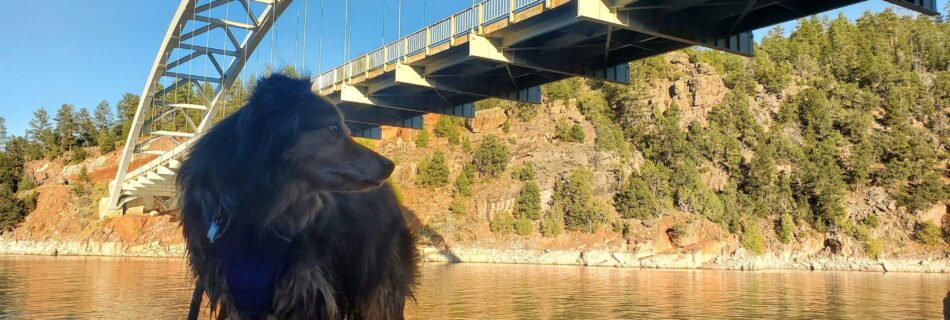 Flaming Gorge Cart Creek Bridge Dive Site