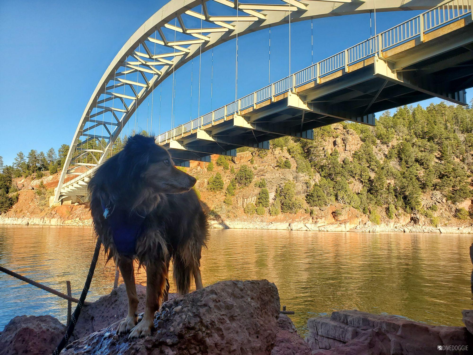 Flaming Gorge Cart Creek Bridge Dive Site
