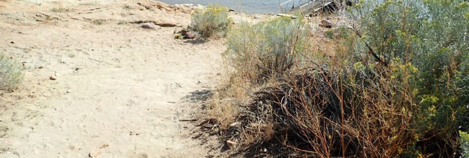 Flaming Gorge Mustang Ridge