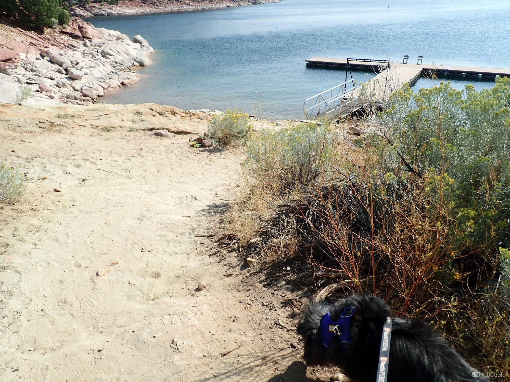 Flaming Gorge Mustang Ridge