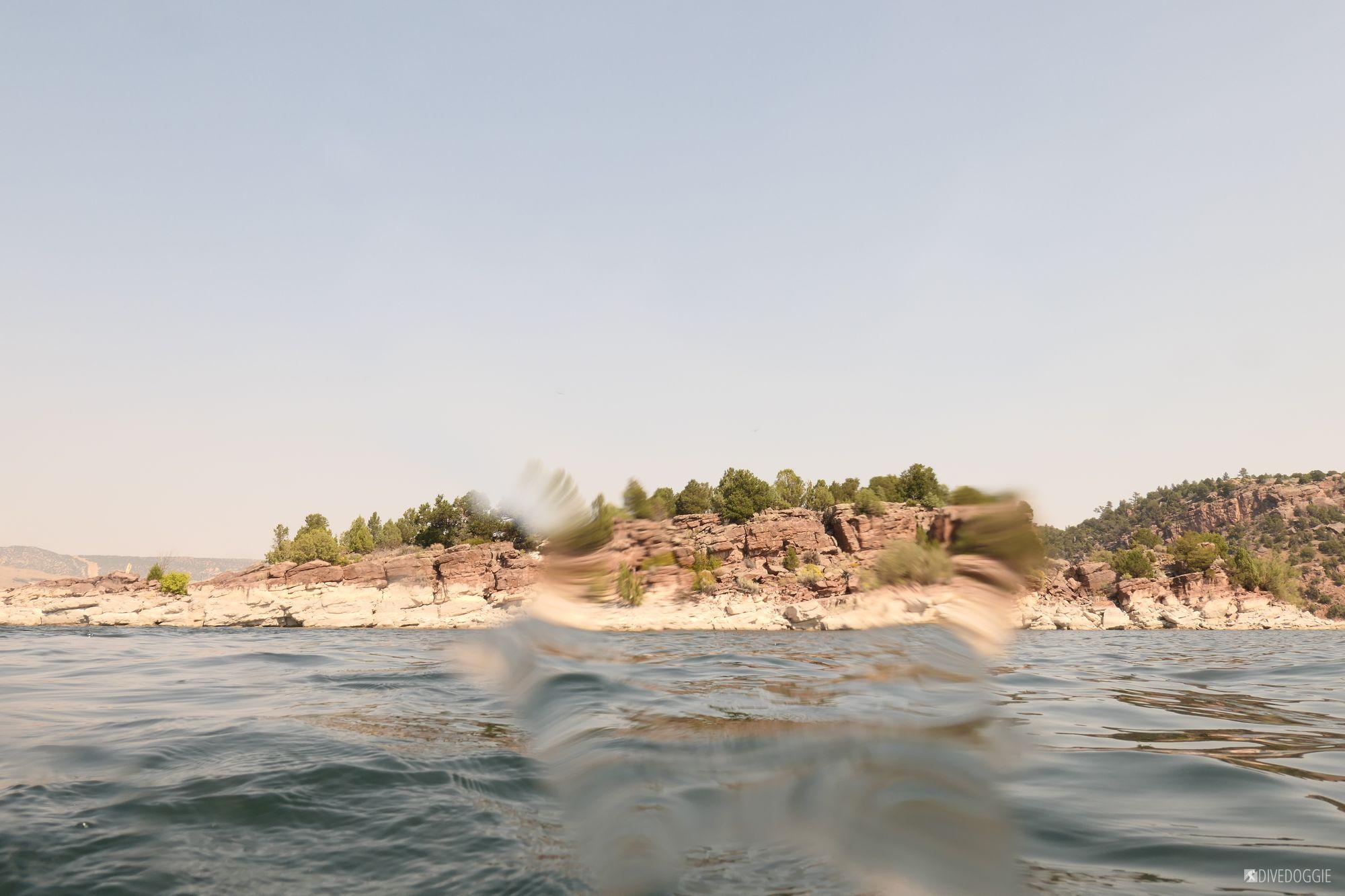 Flaming Gorge Osprey Island