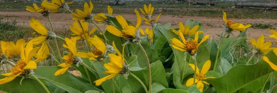 Scuba Diving Bear Lake Utah