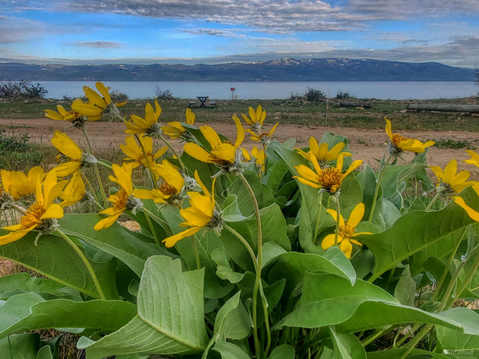 Scuba Diving Bear Lake Utah