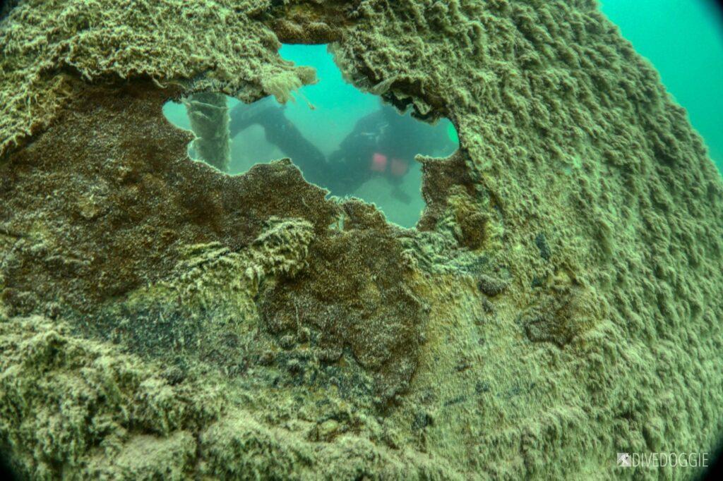 Rusted dock with scuba diver.