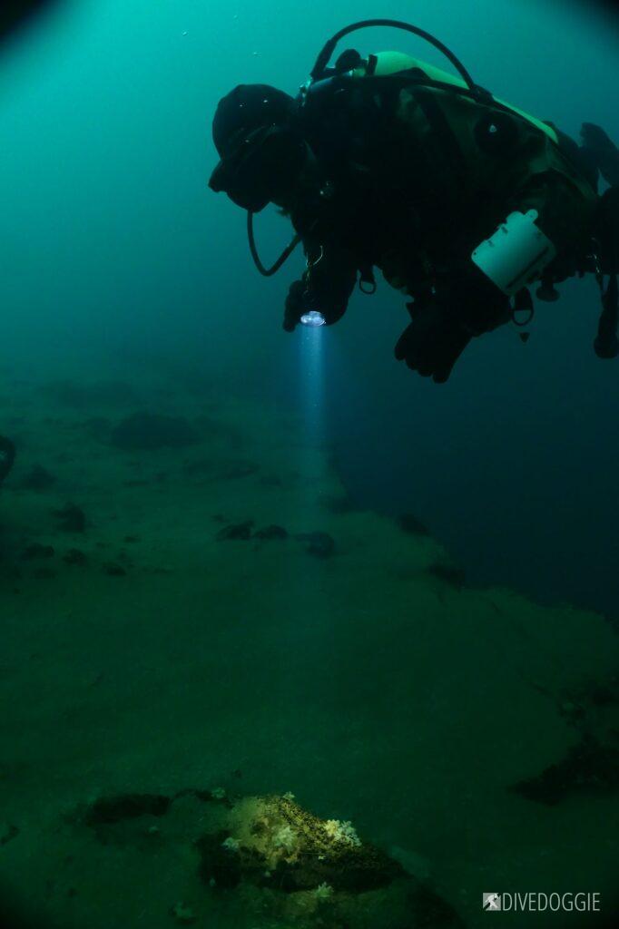 Scuba diver looking at small fish with an underwater torch.