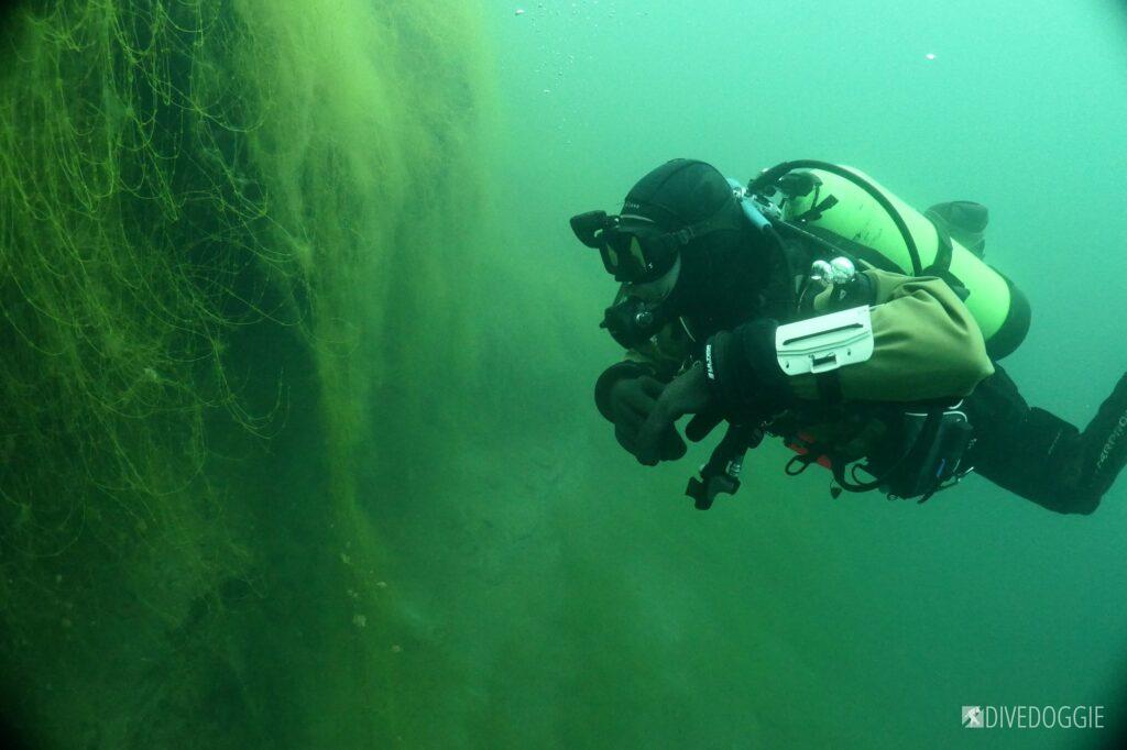 Scuba diver looking at freshwater plants on an overhang.