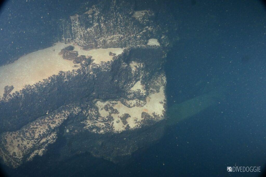 Rock shelf in blue hole.