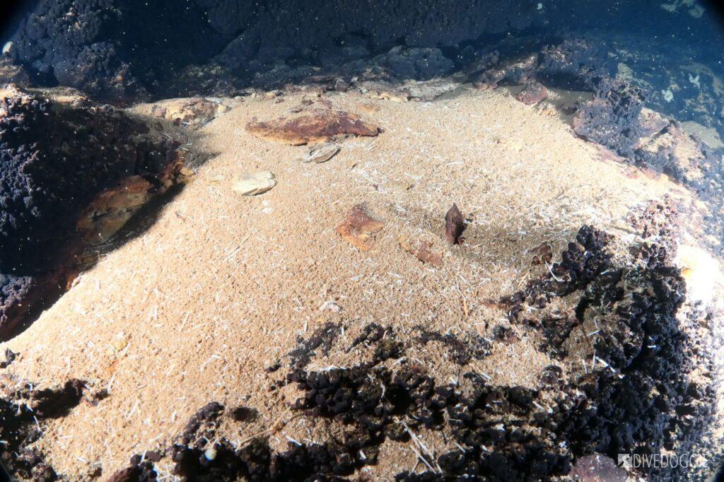 Sand and debris resting on the rock shelf.