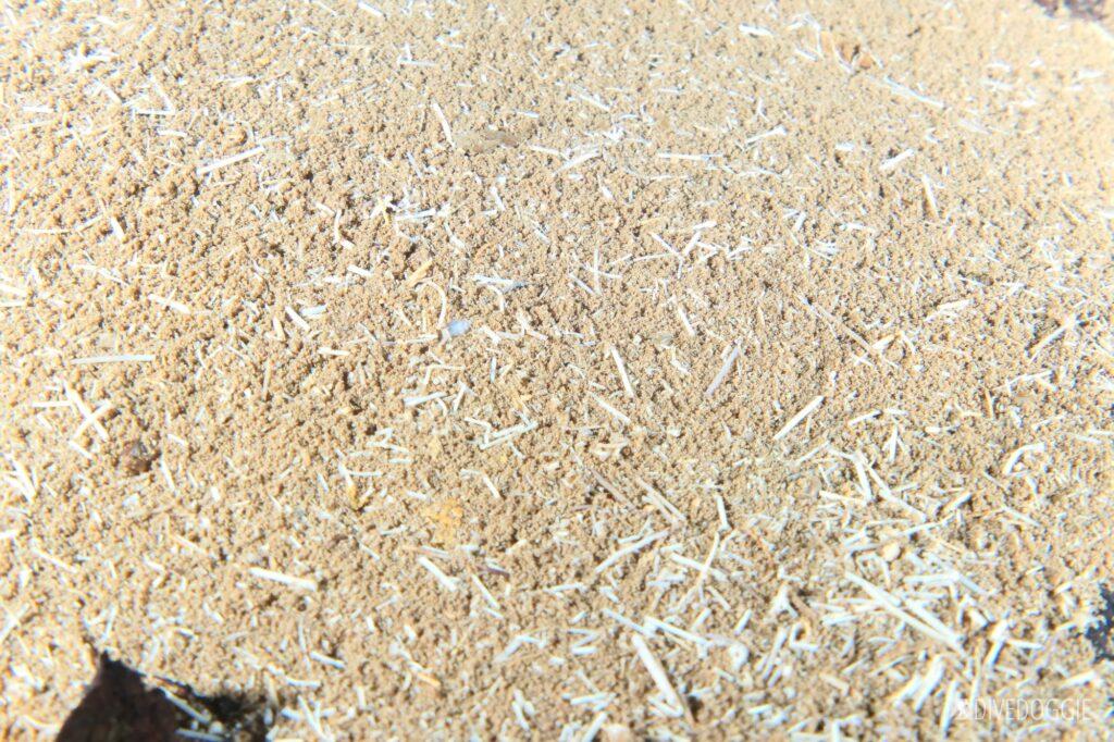 Sand and debris.