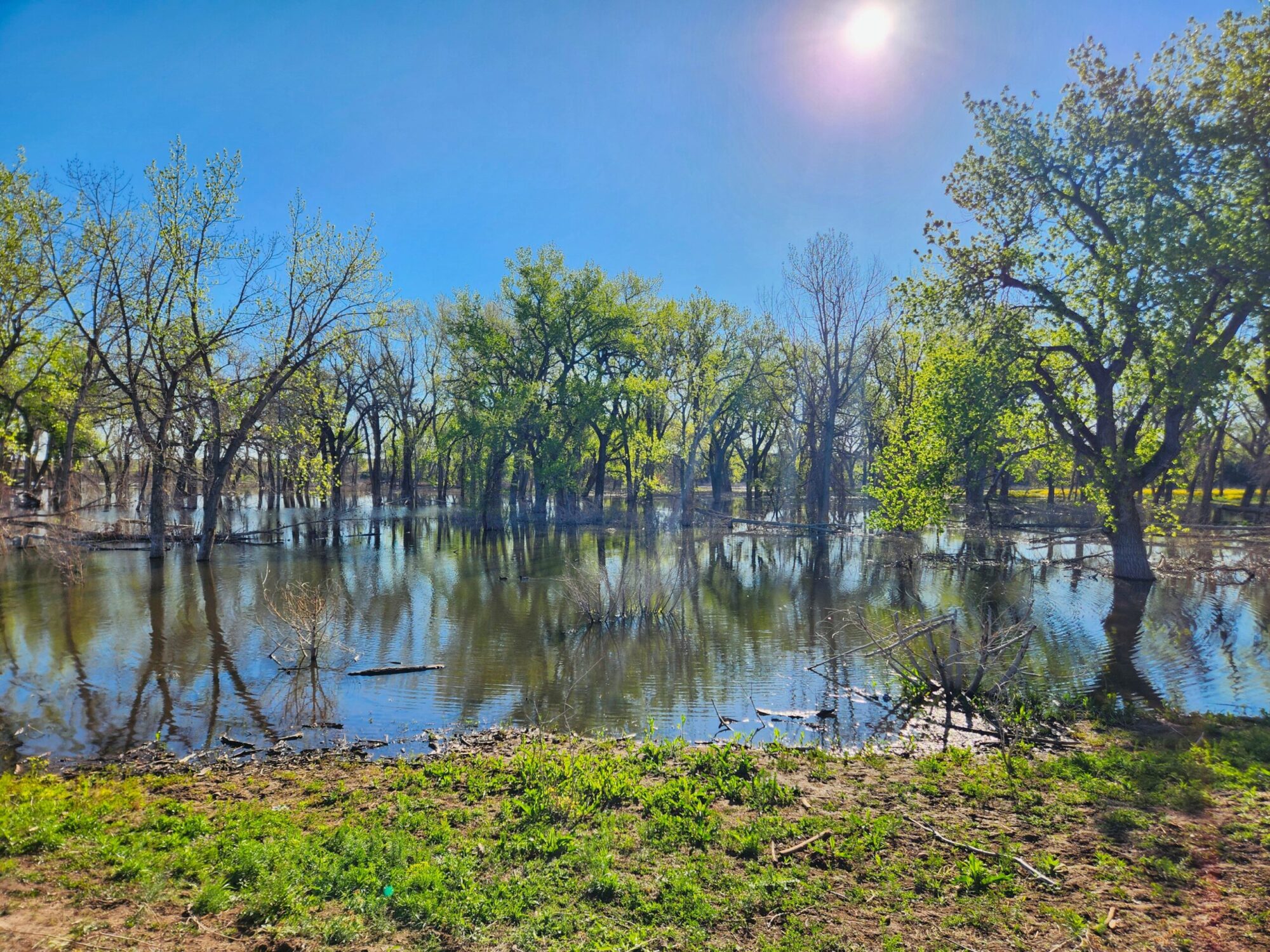 Chatfield Reservoir