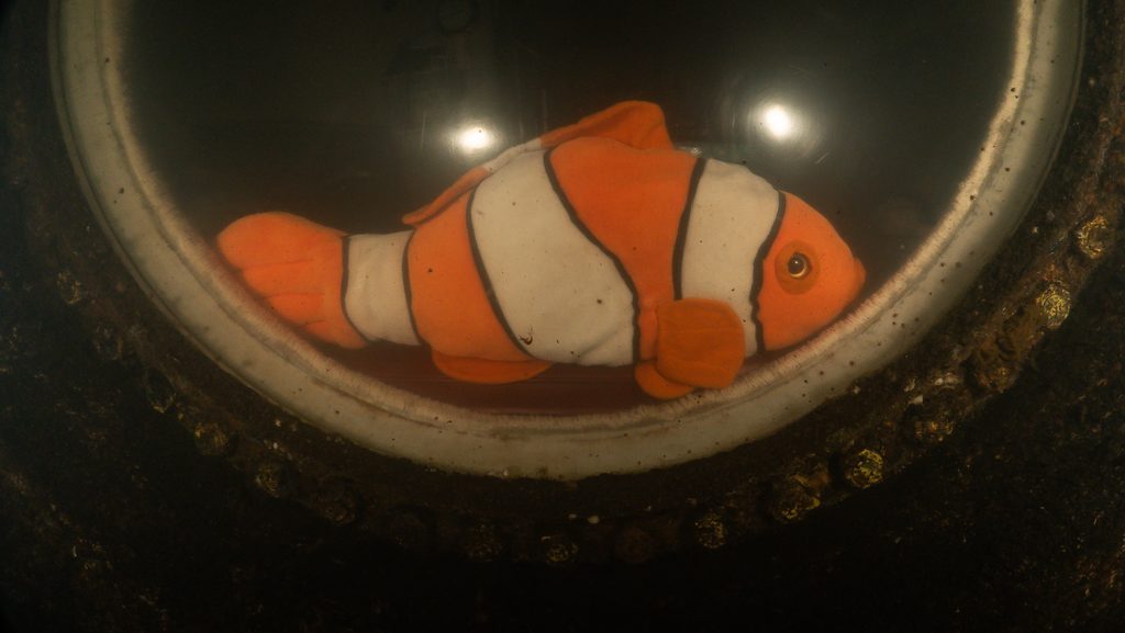 Peeking into the undersea lodge, we found a resident hanging out.